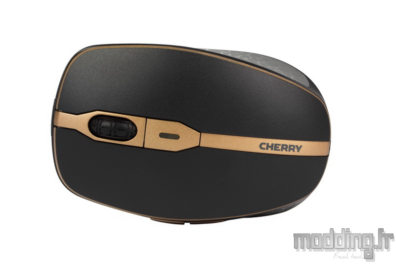 DW 9000 Slim 16