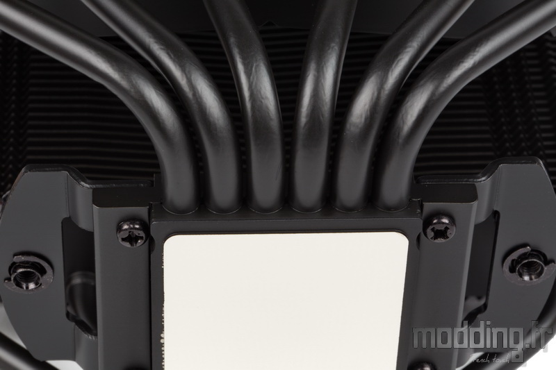 Chromax Black 125