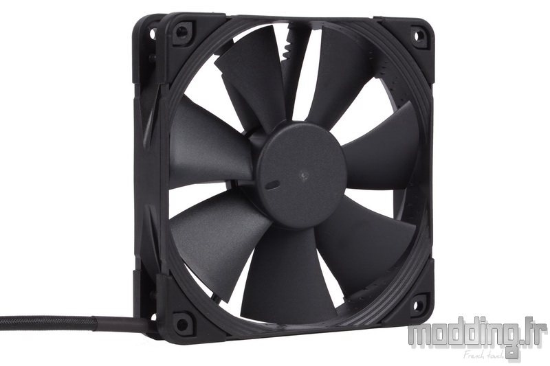 Chromax Black 77