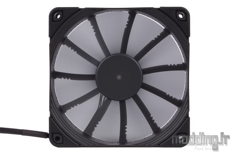 Chromax Black 78
