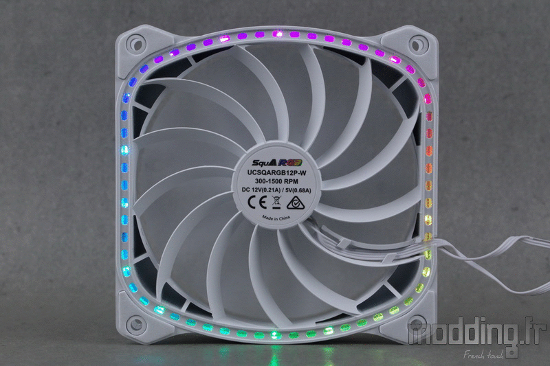 Squa RGB White 38