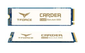 TEAMGROUP annonce le SSD T-FORCE CARDEA avec dissipateur en céramique