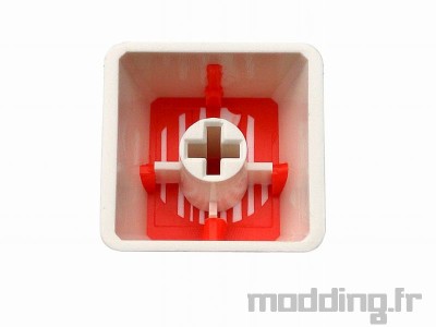 tai hao touche back