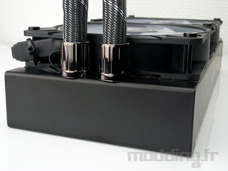 aio arctic face