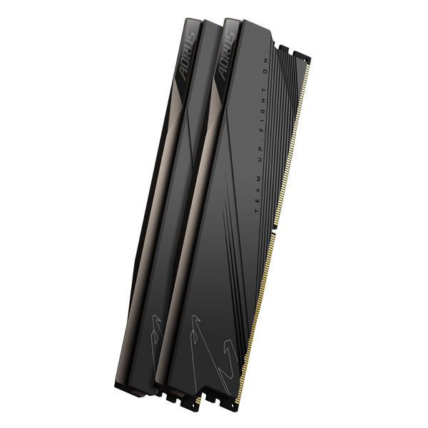 Aorus ddr5 module