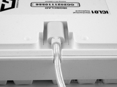 prise avec cable