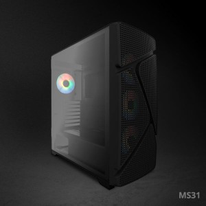 MS31 ernermax