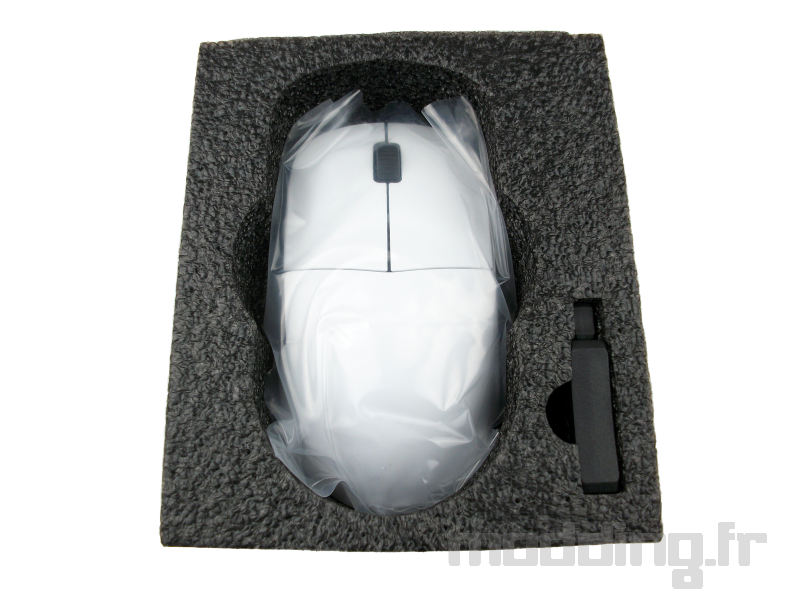 endgear XM2 we bundle endgear XM2 we bundle