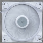 Light Wings White 44