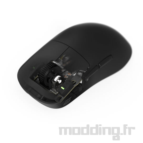 Endgame Gear OP1we Gaming Souris Noir