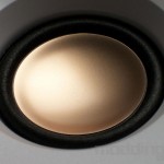 detail membrane peeble V3