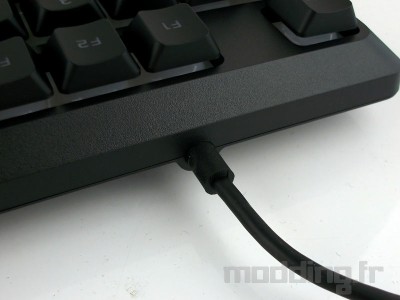 clavier corsair k55 sortie cable