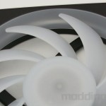 detail pales f360