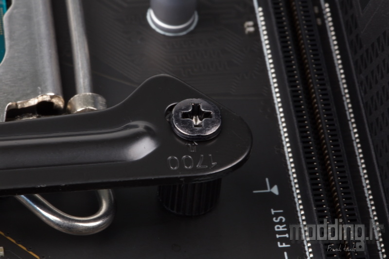 Pure Loop 3 71