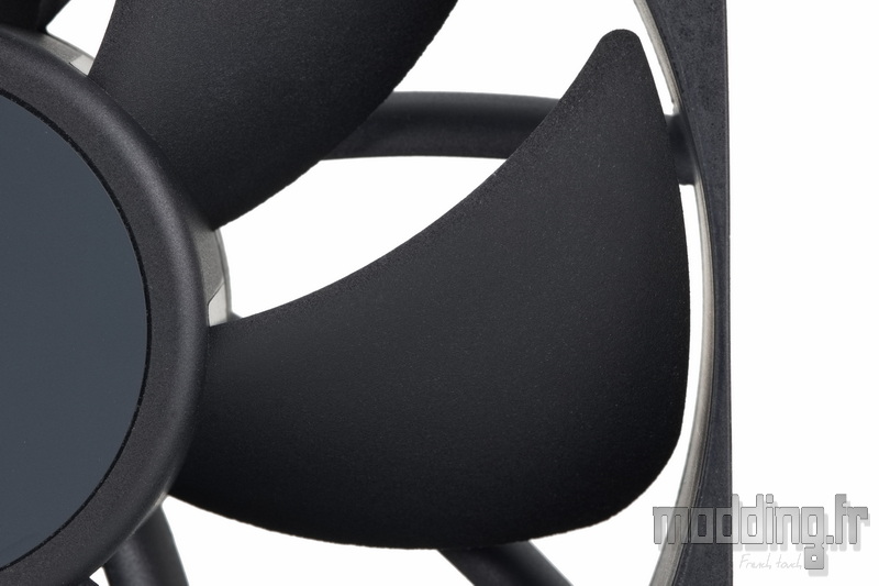 Nautilus 360 RS LCD 21