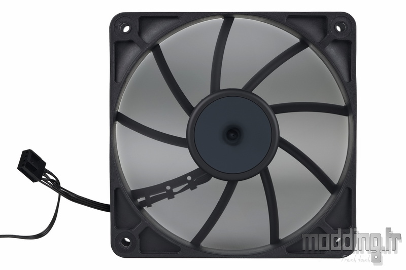 Nautilus 360 RS LCD 31