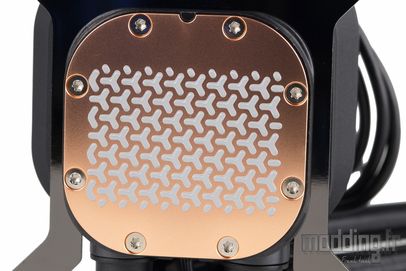 Nautilus 360 RS LCD 51